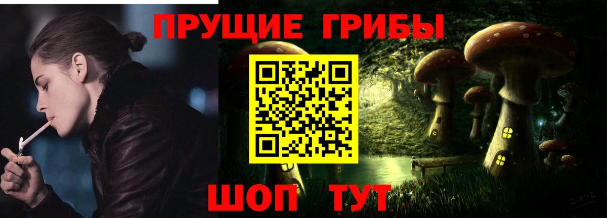 Похвистнево  Псилоцибиновые грибы Cubensis  Вход с VPN 